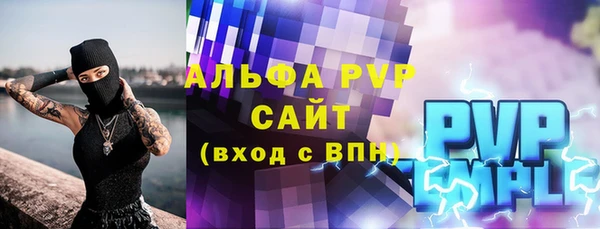 стаф Вяземский